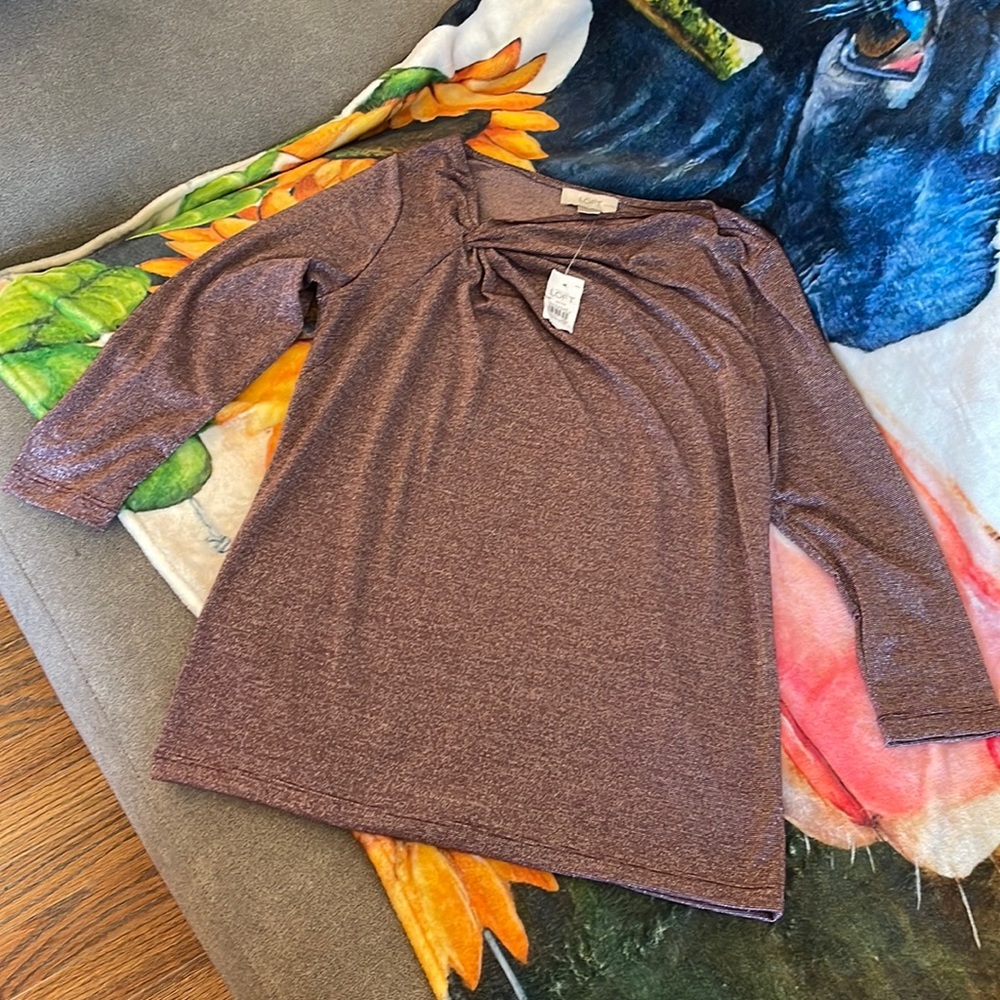 Ann Taylor medium petite top